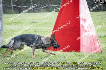IMG_5549.jpg