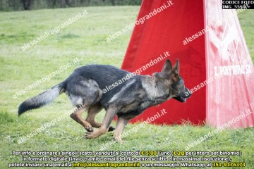 IMG_5550.jpg