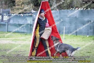 IMG_5551.jpg