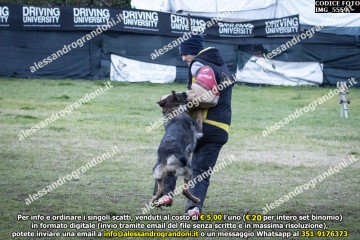 IMG_5559.jpg
