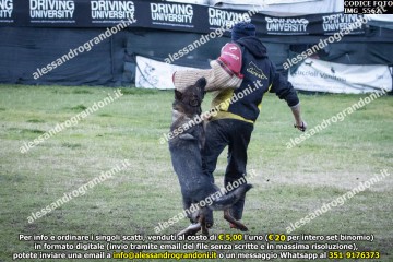 IMG_5562.jpg
