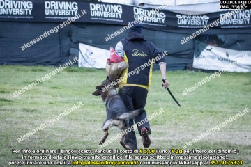 IMG_5565.jpg