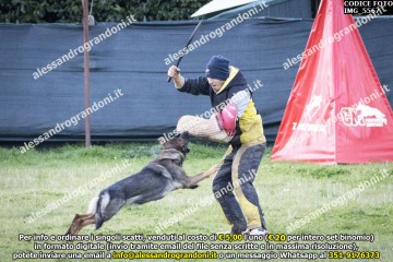 IMG_5567.jpg
