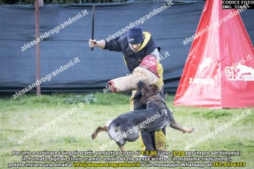 IMG_5568.jpg