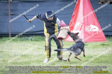 IMG_5569.jpg