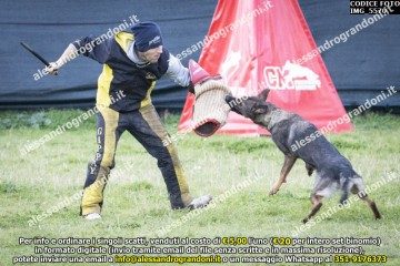 IMG_5570.jpg