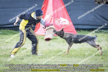 IMG_5571.jpg