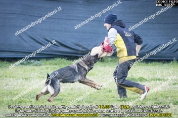 IMG_5572.jpg