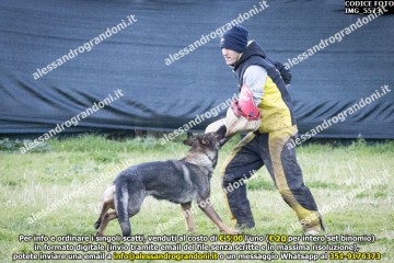 IMG_5573.jpg