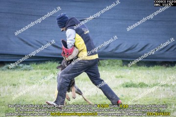 IMG_5577.jpg