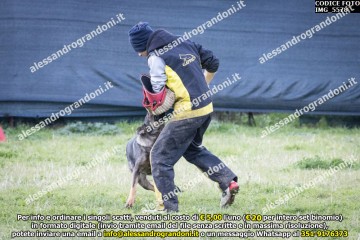 IMG_5578.jpg