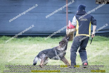 IMG_5583.jpg