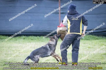 IMG_5584.jpg
