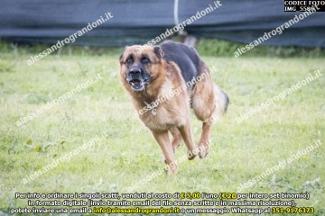 IMG_5586.jpg