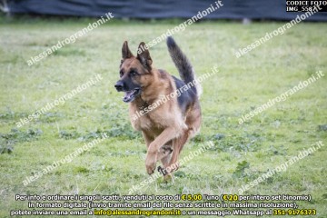 IMG_5587.jpg