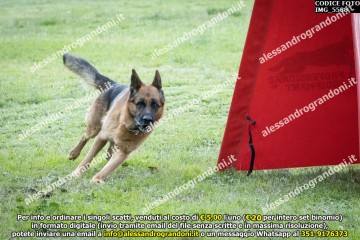 IMG_5588.jpg