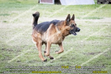 IMG_5590.jpg