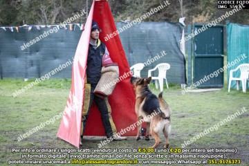 IMG_5593.jpg