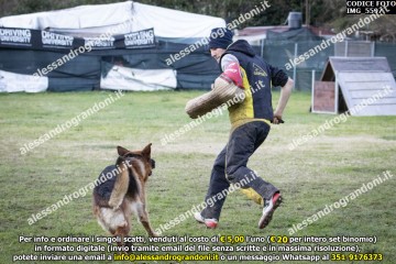 IMG_5597.jpg