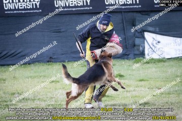 IMG_5610.jpg