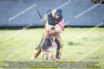 IMG_5613.jpg