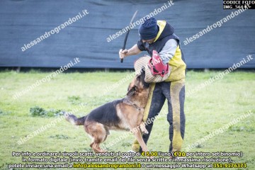 IMG_5614.jpg
