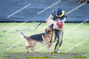 IMG_5615.jpg