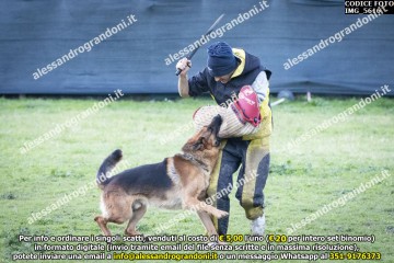 IMG_5616.jpg
