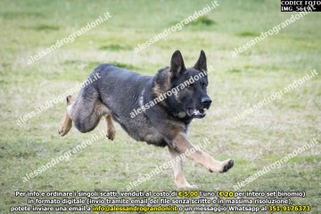 IMG_5619.jpg
