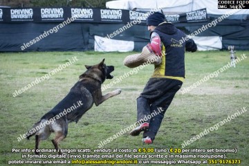 IMG_5623.jpg