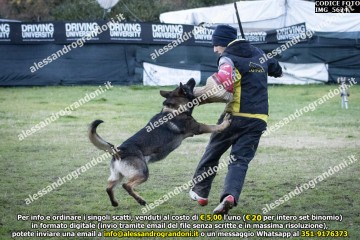 IMG_5624.jpg