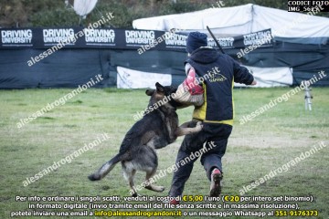 IMG_5625.jpg