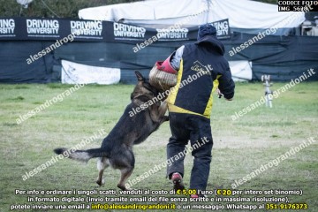 IMG_5628.jpg
