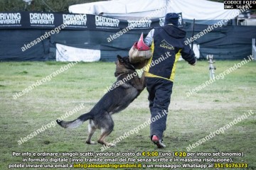 IMG_5629.jpg