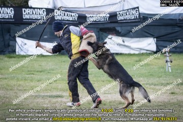 IMG_5631.jpg