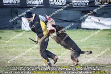 IMG_5632.jpg