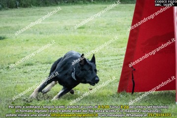 IMG_5639.jpg