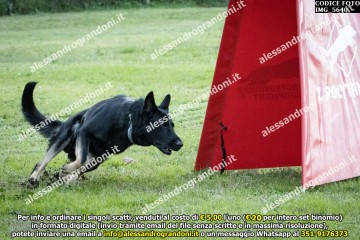 IMG_5640.jpg