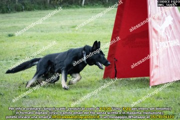 IMG_5641.jpg