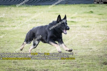 IMG_5645.jpg