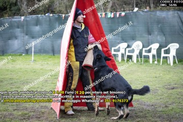 IMG_5646.jpg
