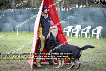 IMG_5647.jpg