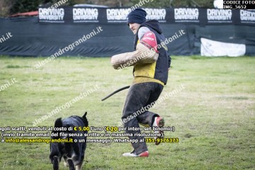 IMG_5652.jpg