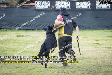 IMG_5660.jpg