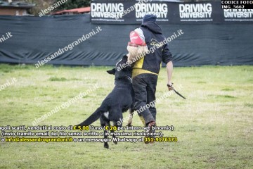 IMG_5662.jpg