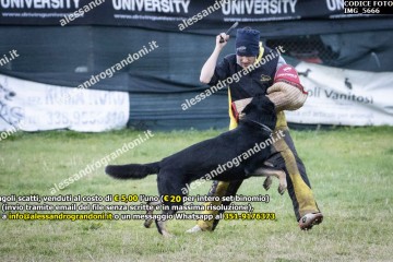 IMG_5666.jpg