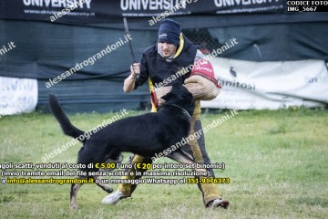 IMG_5667.jpg