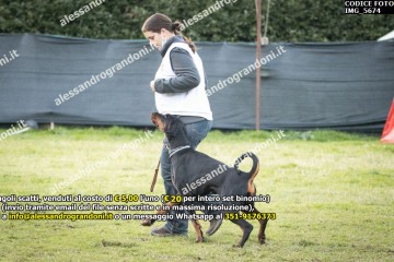 IMG_5674.jpg
