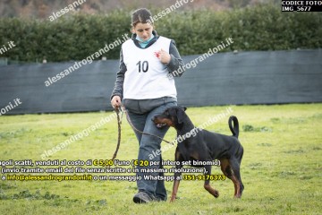 IMG_5677.jpg