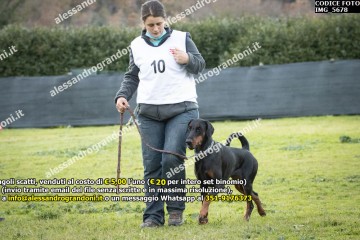 IMG_5678.jpg